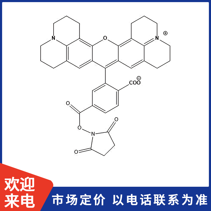 6-羧基-X-罗丹明琥珀酰亚胺酯.jpg 6-羧基-X-罗丹明琥珀酰亚胺酯.jpg