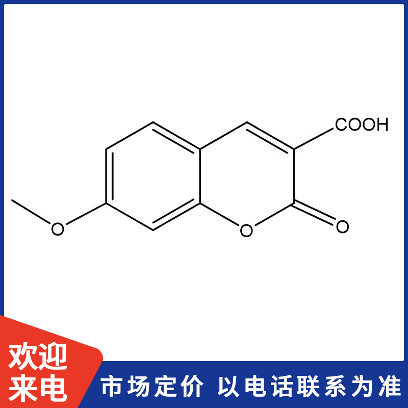 800X800模板.jpg
